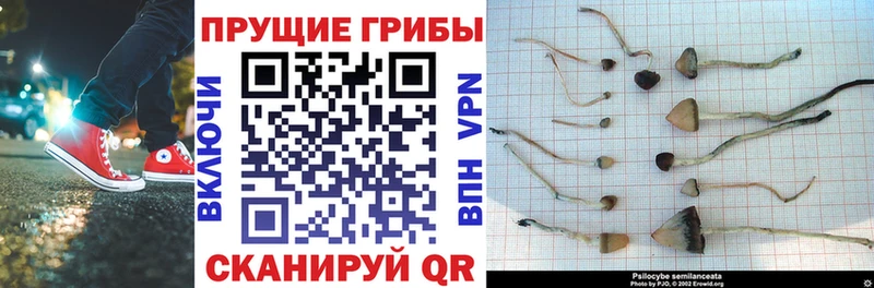 цены наркотик  Правдинск  Галлюциногенные грибы ЛСД 